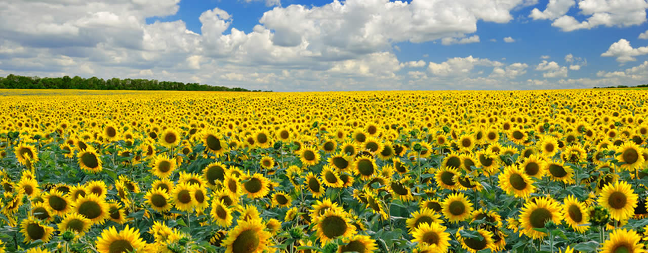 Die Werbeagentur kreativTeam Anderweit | Werbeagentur | Grafikdesign | Werbetechnik | Much | Foliendruck | Logo-Design - Ideen für Corporate Identity,