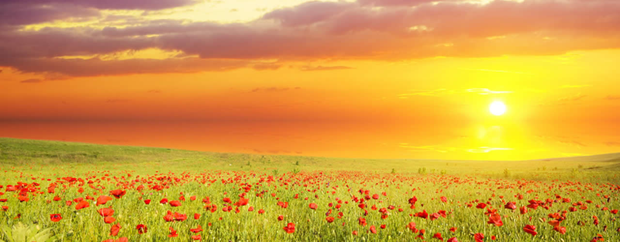 Werbetechnik bei kreativTeam Anderweit | Werbeagentur | Grafikdesign | Werbetechnik | Much | Foliendruck | Logo-Design - Ideen für Corporate Identity,